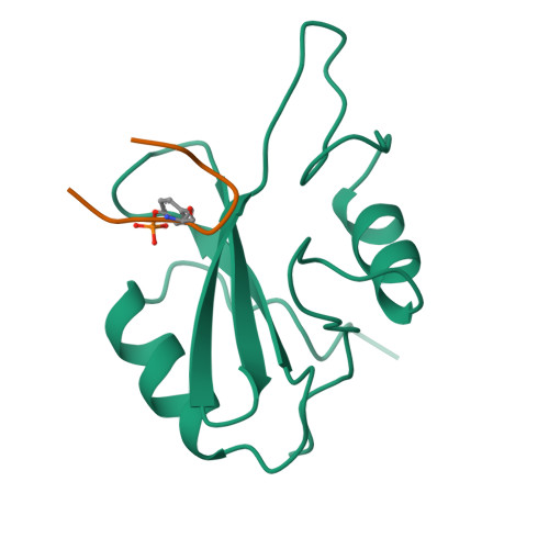 Rcsb Pdb 1bmb Grb2 Sh2 Domain In Complex With Kpfy Vnvef Pkf270 974