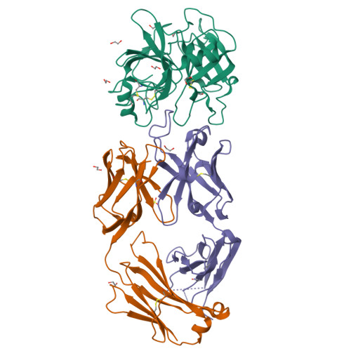 Rcsb Pdb 3bn9 Crystal Structure Of Mt Sp1 In Complex With Fab Inhibitor E2
