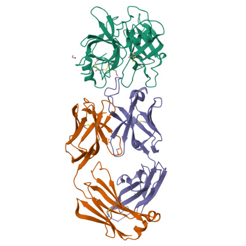 Rcsb Pdb 3bn9 Crystal Structure Of Mt Sp1 In Complex With Fab Inhibitor E2