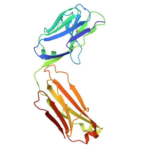 Rcsb Pdb 3bn9 Crystal Structure Of Mt Sp1 In Complex With Fab Inhibitor E2