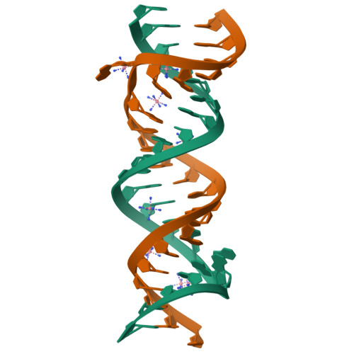 3BNL assembly