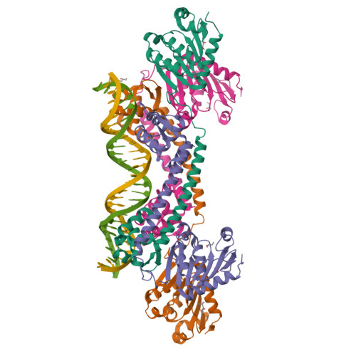 Rcsb Pdb 5box Structure Of Trmbl2 An Archaeal Chromatin Protein Shows A Novel Mode Of Dna Binding