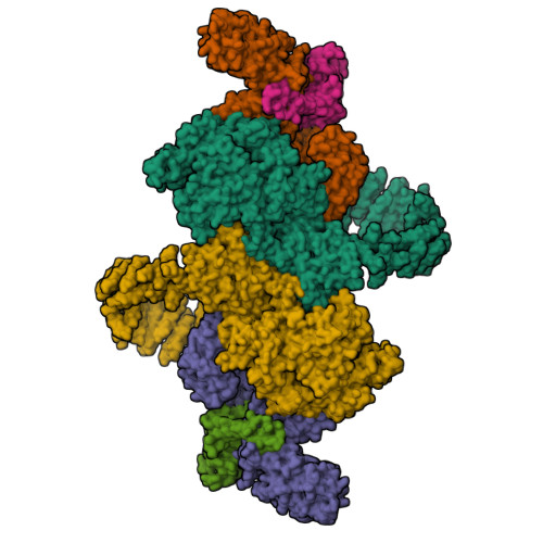 Rcsb Pdb 6bq1 Human Pi4kiiia Lipid Kinase Complex