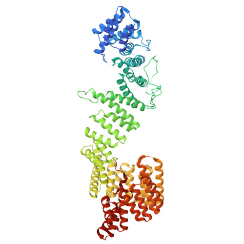 Rcsb Pdb 6bq1 Human Pi4kiiia Lipid Kinase Complex