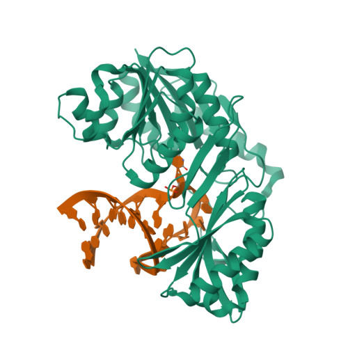 3BT7 assembly