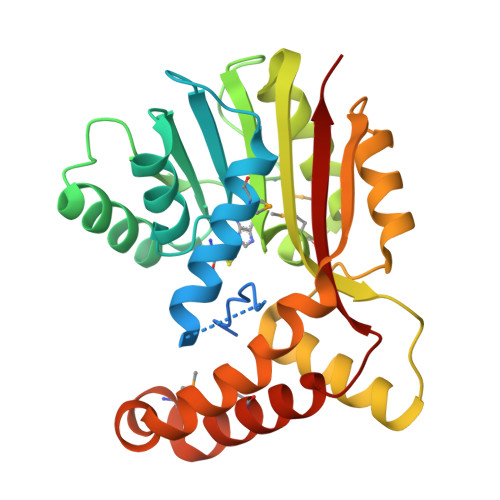 Rcsb Pdb 3bus Crystal Structure Of Rebm