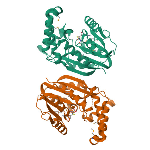 Rcsb Pdb 3bus Crystal Structure Of Rebm