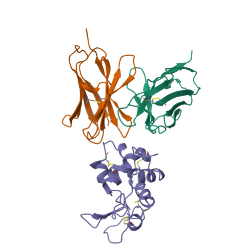 Rcsb Pdb 1bvk Humanized Anti Lysozyme Fv Complexed With Lysozyme