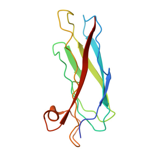 Rcsb Pdb 2bvu D83r Mutant Of Asaris Suum Major Sperm Protein Msp