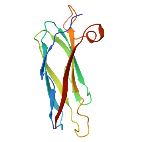 Rcsb Pdb 2bvu D83r Mutant Of Asaris Suum Major Sperm Protein Msp