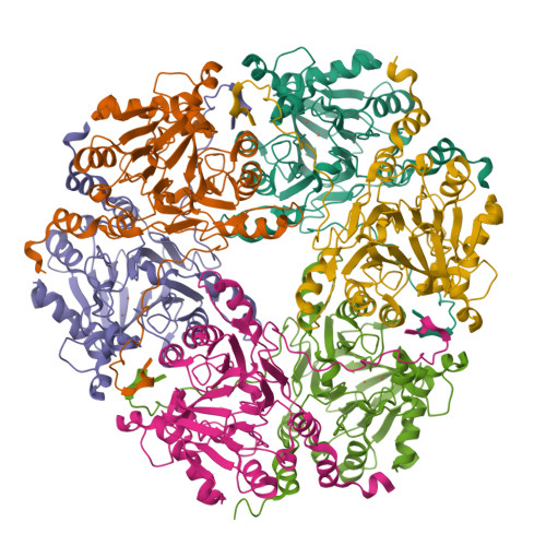 Rcsb Pdb 3bv6 Crystal Structure Of Uncharacterized Metallo Protein From Vibrio Cholerae With Beta Lactamase Like Fold