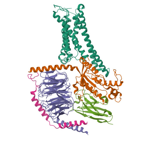 Rcsb Pdb 7bw0 Active Human Tgr5 Complex With A Synthetic Agonist 23h