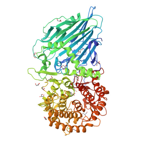 Rcsb Pdb 5bx4 Crystal Structure Of Thermoanaerobacterium Xylanolyticum Gh116 Beta Glucosidase With Glucoimidazole