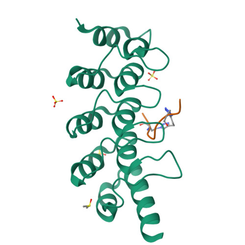 Rcsb Pdb 5bxo Human Tankyrase 2 In Complex With Macrocyclised Extended Peptide Cp4n2m3