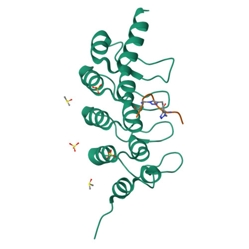 Rcsb Pdb 5bxo Human Tankyrase 2 In Complex With Macrocyclised Extended Peptide Cp4n2m3