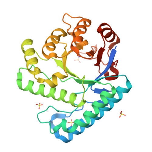 Rcsb Pdb 3bzj Uvde K229l