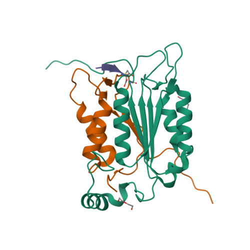 Rcsb Pdb 6bz9 Crystal Structure Of Human Caspase 1 In Complex With Ac Fltd Cmk