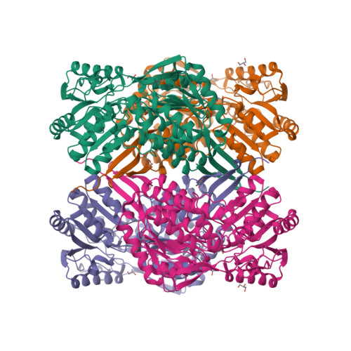 Rcsb Pdb 7bzv Crystal Structure Of 2 Aminomuconic 6 Semialdehyde Dehydrogenase From Pseudomonas Species Ap 3