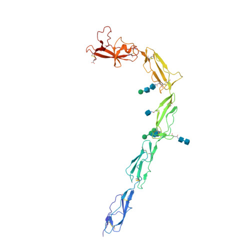 Rcsb Pdb 1c1z Crystal Structure Of Human Beta 2 Glycoprotein I Apolipoprotein H