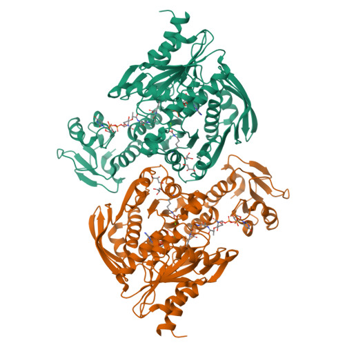 Protein Data Bank: 4C12