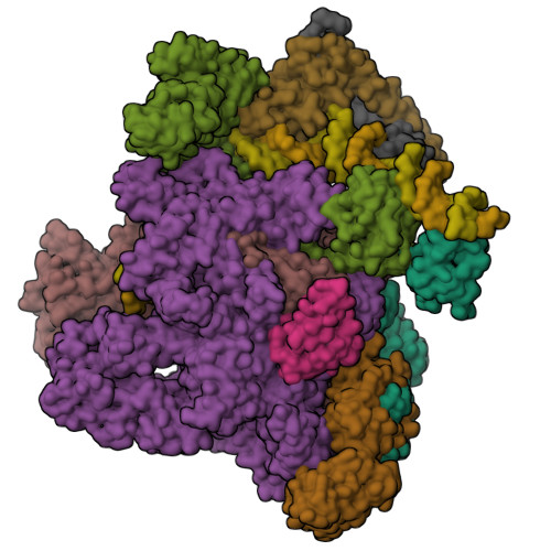 Rcsb Pdb 7c17 The Cryo Em Structure Of E Coli Cuer Transcription Activation Complex With Fully Duplex Promoter Dna