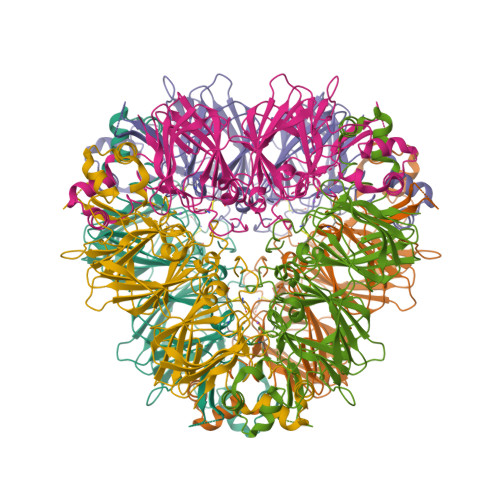 sigte Diskret Udløbet RCSB PDB - 3C3V: Crystal structure of peanut major allergen ara h 3