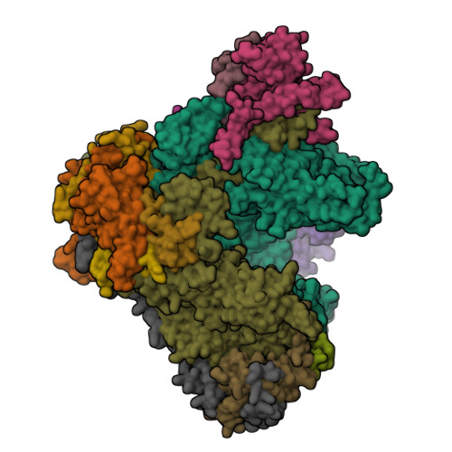 Rcsb Pdb 4c3i Structure Of 14 Subunit Rna Polymerase I At 3 0 A Resolution Crystal Form C2 100