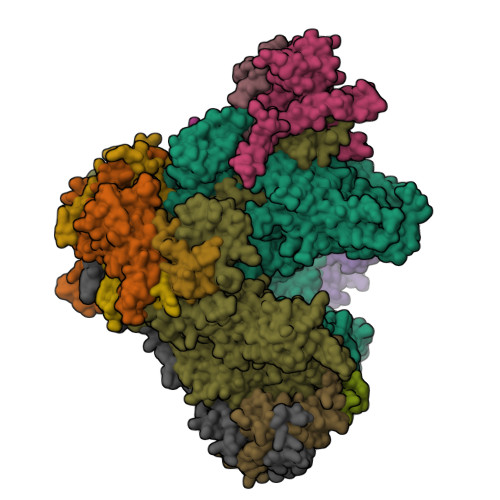 Rcsb Pdb 4c3j Structure Of 14 Subunit Rna Polymerase I At 3 35 A Resolution Crystal Form C2 90