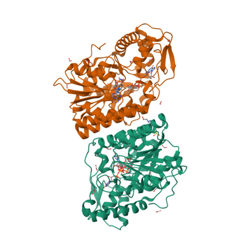 Rcsb Pdb 2c54 Gdp Mannose 3 5 Epimerase Arabidopsis Thaliana K178r With Gdp Beta L Gulose And Gdp 4 Keto Beta L Gulose Bound In Active Site