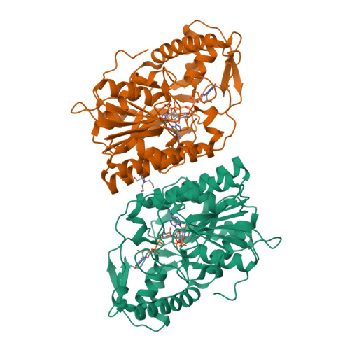 Rcsb Pdb 2c5a Gdp Mannose 3 5 Epimerase Arabidopsis Thaliana Y174f With Gdp Beta L Galactose Bound In The Active Site