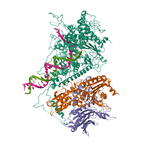 rcsb pdb
