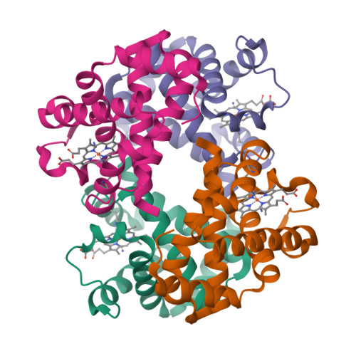 Rcsb Pdb 5c6e Joint X Ray Neutron Structure Of Equine Cyanomet Hemoglobin In R State