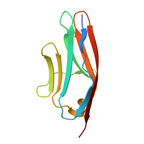 Rcsb Pdb 6c6m Igcam3 Of Human Mlck1