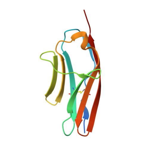 Rcsb Pdb 6c6m Igcam3 Of Human Mlck1