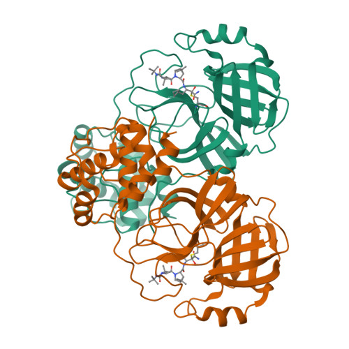 Rcsb Pdb 7c6s Crystal Structure Of The Sars Cov 2 Main Protease Complexed With Boceprevir