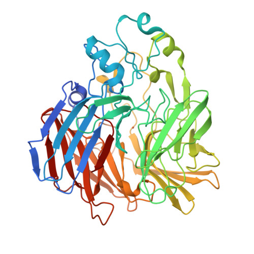 6c7o Crystal Structure Of D477g Aco Rpe65 Chimera Trigonal Crystal Form Rcsb Pdb