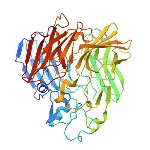 Rcsb Pdb 6c7p Crystal Structure Of D477g Aco Rpe65 Chimera Monoclinic Crystal Form