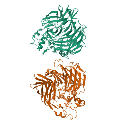 Rcsb Pdb 6c7p Crystal Structure Of D477g Aco Rpe65 Chimera Monoclinic Crystal Form