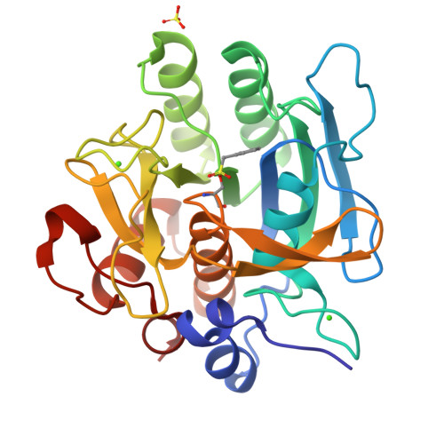 Rcsb Pdb 1c9m Bacillus Lentus Subtilsin Ser 87 N76d S103a V104i