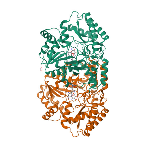Rcsb Pdb 6cbo X Ray Structure Of Genb1 From Micromonospora Echinospora In Complex With Neamine And Plp As The External Aldimine