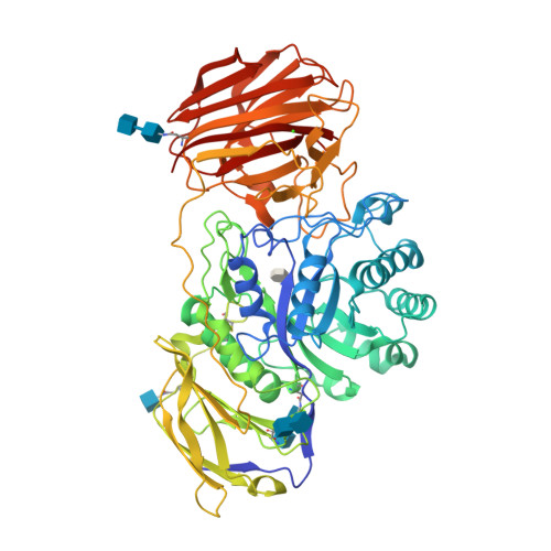 Rcsb Pdb 4ccc Structure Of Mouse Galactocerebrosidase With 4nbdg Enzyme Substrate Complex