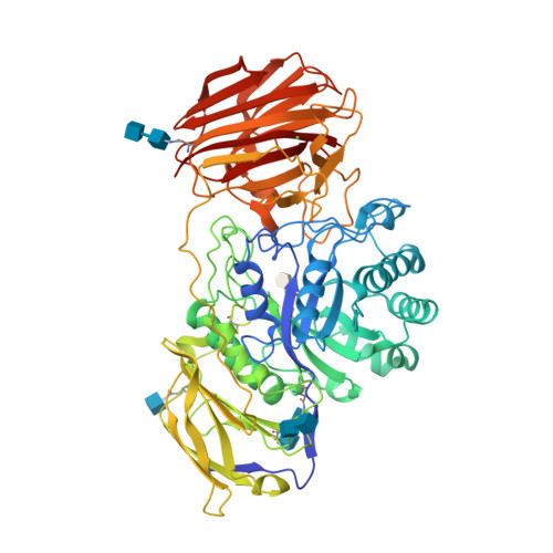 Rcsb Pdb 4ccd Structure Of Mouse Galactocerebrosidase With D Galactal Enzyme Intermediate Complex