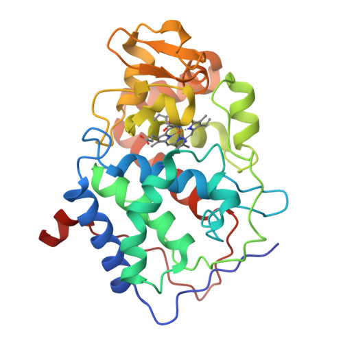 Rcsb Pdb 6ccp Effect Of Arginine 48 Replacement On The Reaction Between Cytochrome C Peroxidase And Hydrogen Peroxide