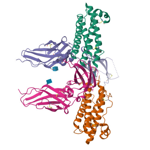 Rcsb Pdb 1cd9 2 2 Complex Of G Csf With Its Receptor