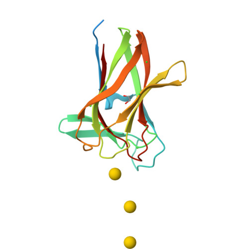 Rcsb Pdb 2cdp Structure Of A Cbm6 In Complex With Neoagarohexaose