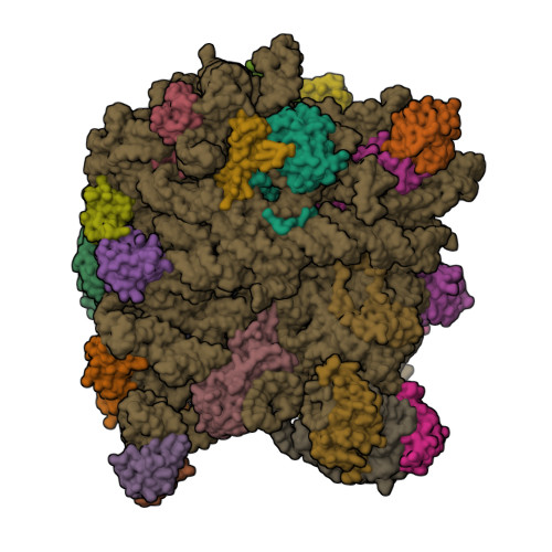 3CD6 assembly