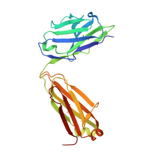 Rcsb Pdb 7cdi Crystal Structure Of Sars Cov 2 Antibody P2c 1f11 With Rbd