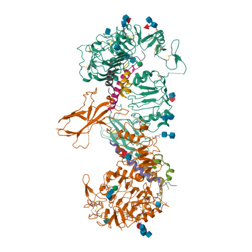 Rcsb Pdb 6ce9 Insulin Receptor Ectodomain In Complex With Two Insulin Molecules