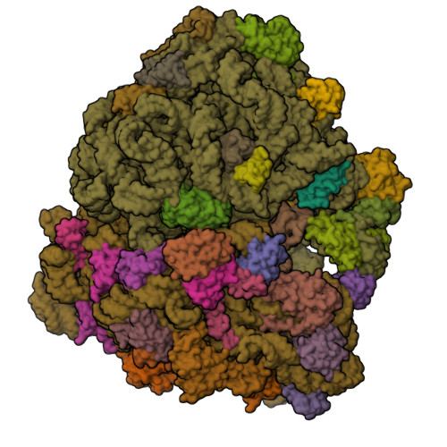 9CG7 assembly