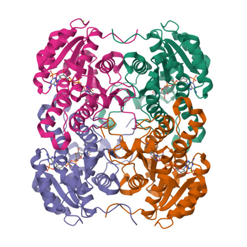 Rcsb Pdb 6ci9 Rmm Microcompartment Associated Aminopropanol Dehydrogenase Nadp Aminoacetone Holo Structure